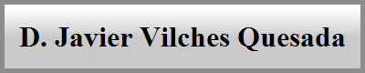D. Javier Vilches Quesada